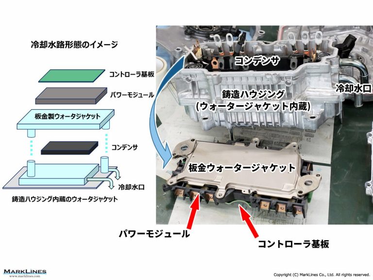 中国のウォータードラゴンの世話方法